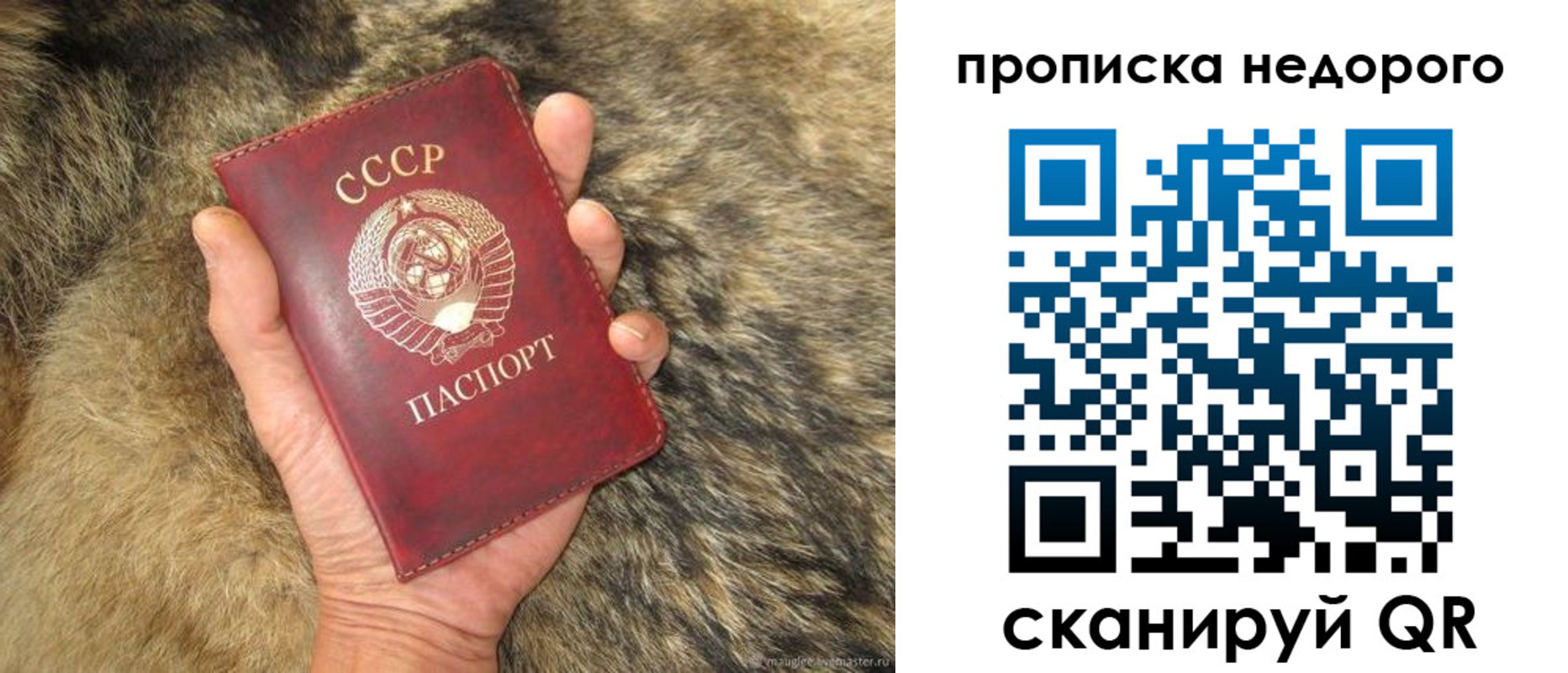 прописка для школы в Ливны